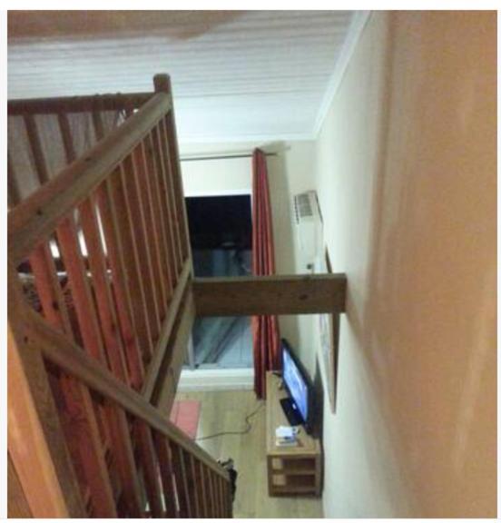 Les Aigrettes St Gilles Les Bains Apartment Saint-Paul ภายนอก รูปภาพ